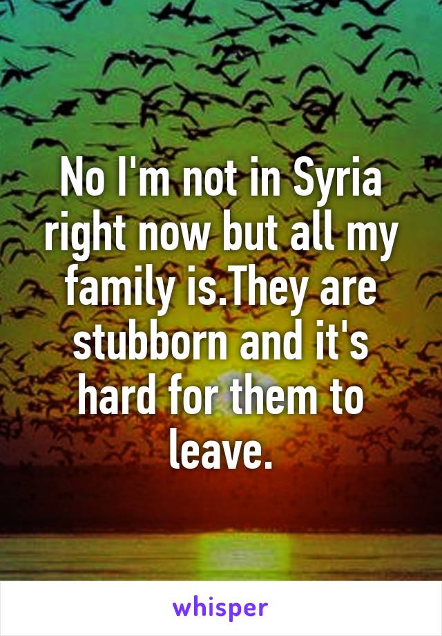 No I'm not in Syria right now but all my family is.They are stubborn and it's hard for them to leave.