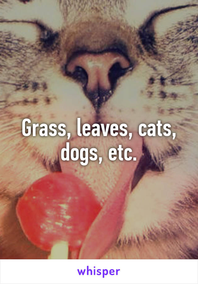 Grass, leaves, cats, dogs, etc.