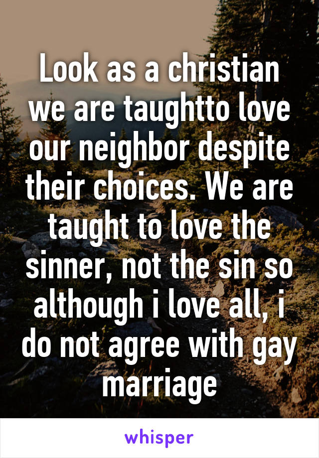 Look as a christian we are taughtto love our neighbor despite their choices. We are taught to love the sinner, not the sin so although i love all, i do not agree with gay marriage