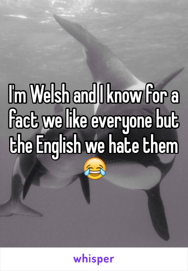 I'm Welsh and I know for a fact we like everyone but the English we hate them 😂