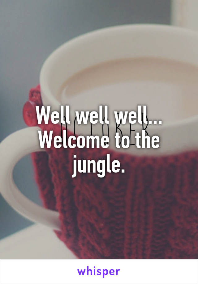 Well well well...
Welcome to the jungle.