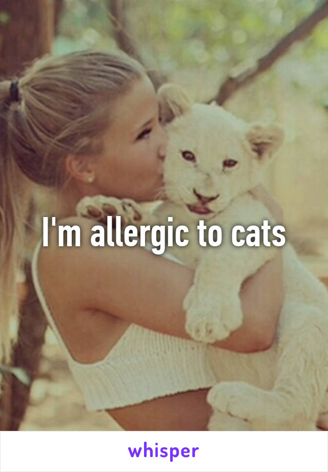 I'm allergic to cats