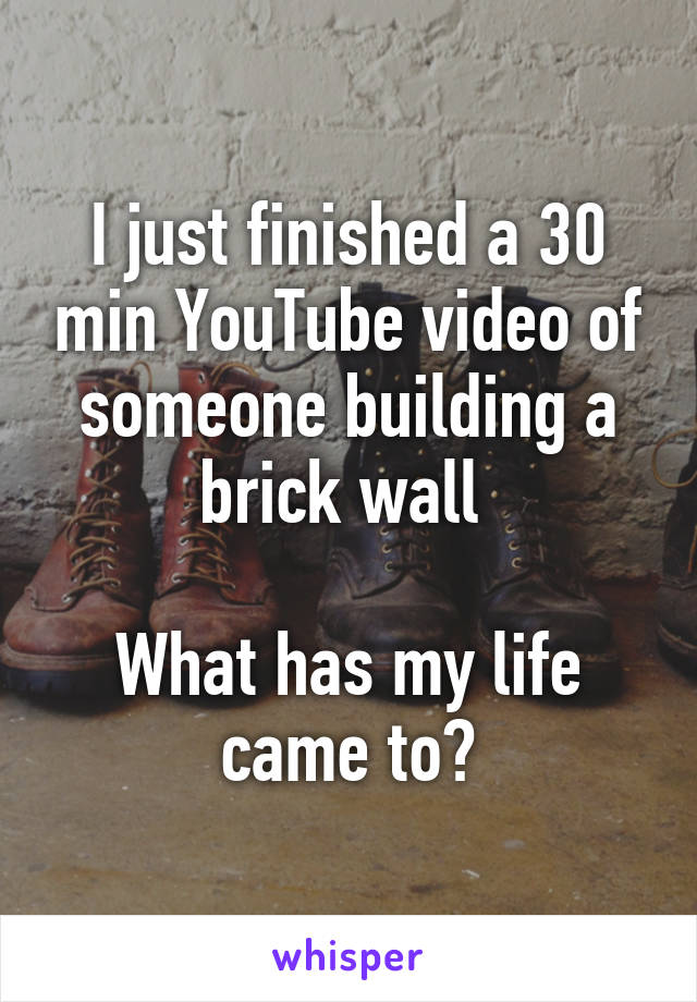 I just finished a 30 min YouTube video of someone building a brick wall 

What has my life came to?