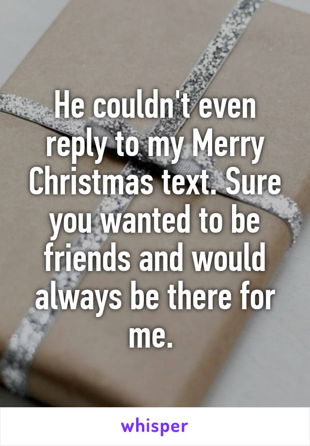 He couldn't even reply to my Merry Christmas text. Sure you wanted to be friends and would always be there for me. 