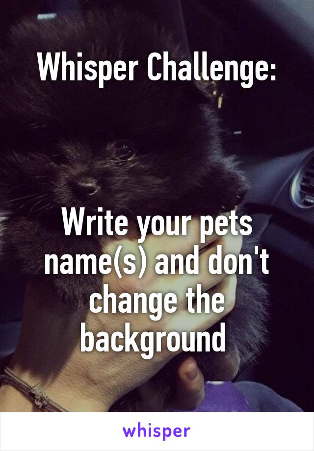 Whisper Challenge:



Write your pets name(s) and don't change the background 
