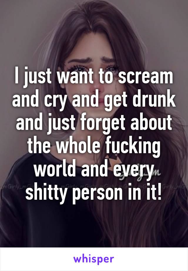 I just want to scream and cry and get drunk and just forget about the whole fucking world and every shitty person in it!