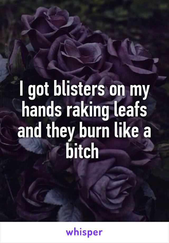 I got blisters on my hands raking leafs and they burn like a bitch 