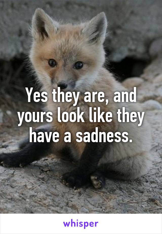 Yes they are, and yours look like they have a sadness.