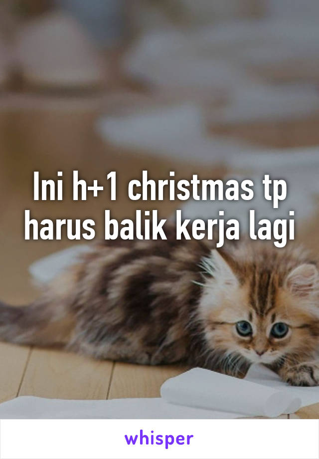 Ini h+1 christmas tp harus balik kerja lagi 