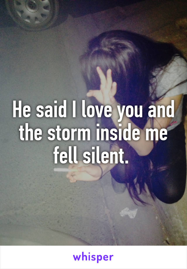 He said I love you and the storm inside me fell silent. 