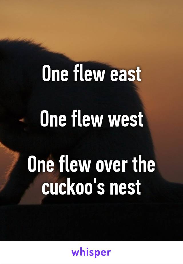 One flew east

One flew west

One flew over the cuckoo's nest