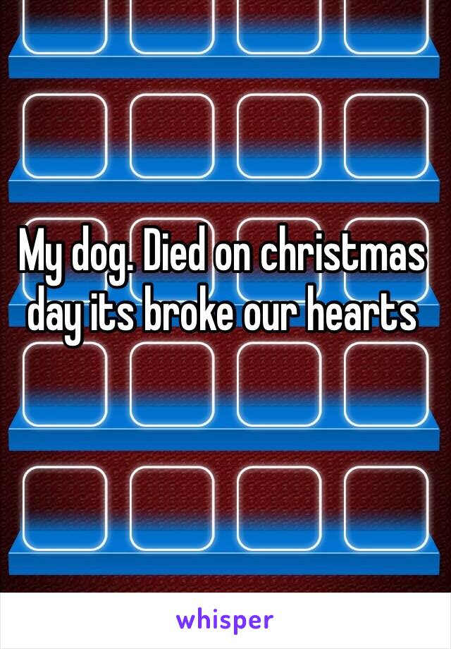 My dog. Died on christmas day its broke our hearts 