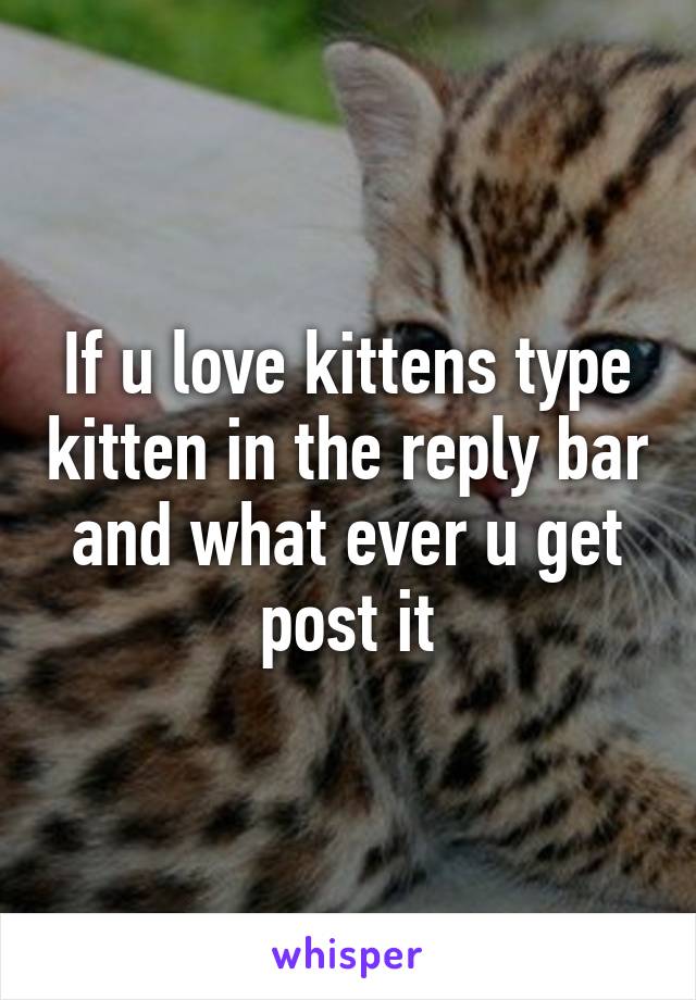 If u love kittens type kitten in the reply bar and what ever u get post it