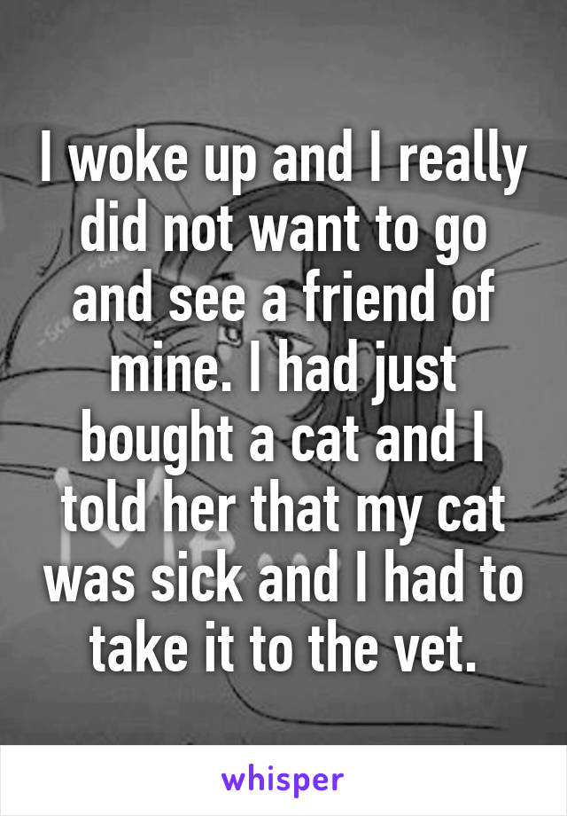 I woke up and I really did not want to go and see a friend of mine. I had just bought a cat and I told her that my cat was sick and I had to take it to the vet.