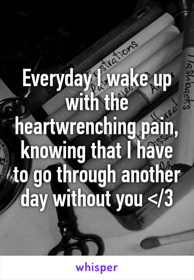 Everyday I wake up with the heartwrenching pain, knowing that I have to go through another day without you </3