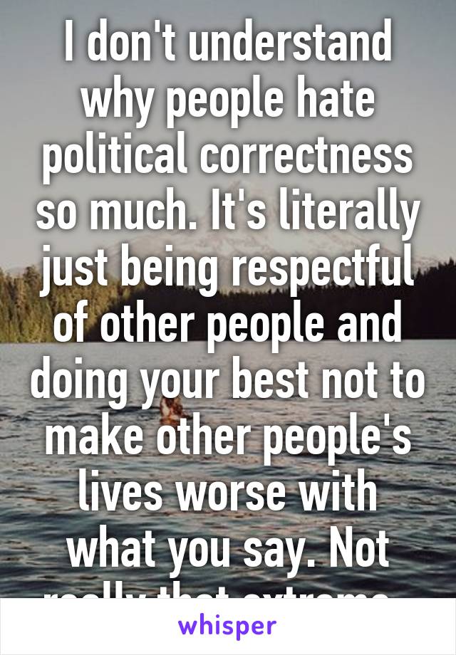 I don't understand why people hate political correctness so much. It's literally just being respectful of other people and doing your best not to make other people's lives worse with what you say. Not really that extreme. 