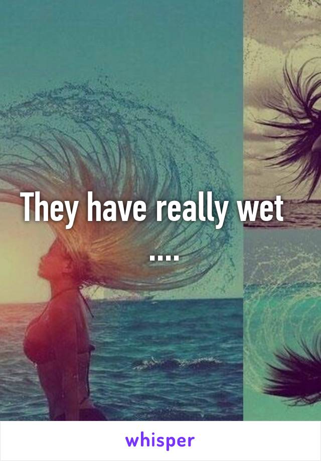 They have really wet    ....