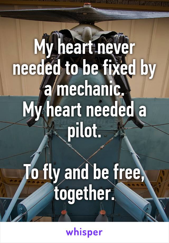 My heart never needed to be fixed by a mechanic.
My heart needed a pilot.

To fly and be free, together.