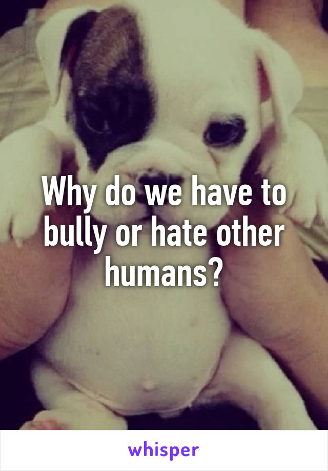 Why do we have to bully or hate other humans?