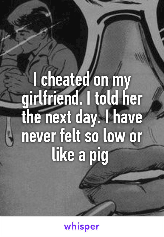 I cheated on my girlfriend. I told her the next day. I have never felt so low or like a pig 