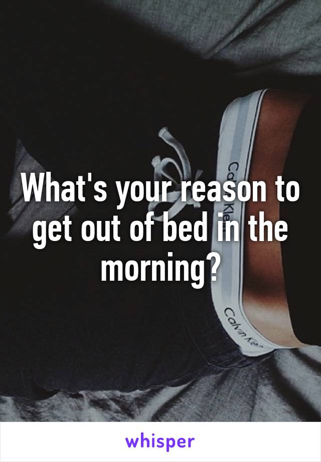 What's your reason to get out of bed in the morning?