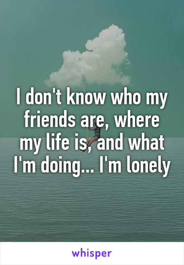 I don't know who my friends are, where my life is, and what I'm doing... I'm lonely