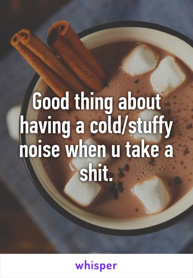 Good thing about having a cold/stuffy noise when u take a shit.