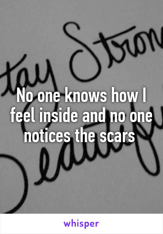 No one knows how I feel inside and no one notices the scars 