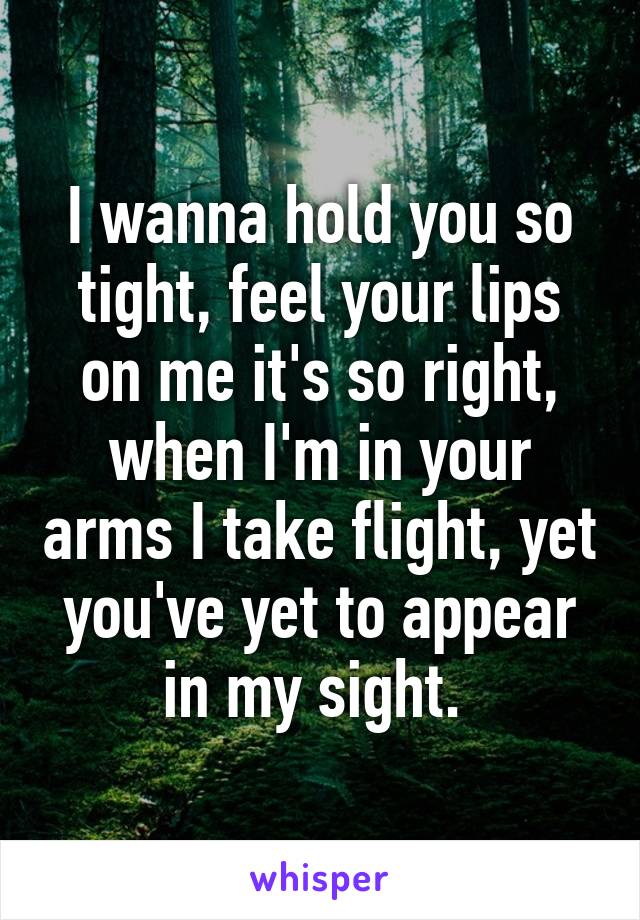 I wanna hold you so tight, feel your lips on me it's so right, when I'm in your arms I take flight, yet you've yet to appear in my sight. 