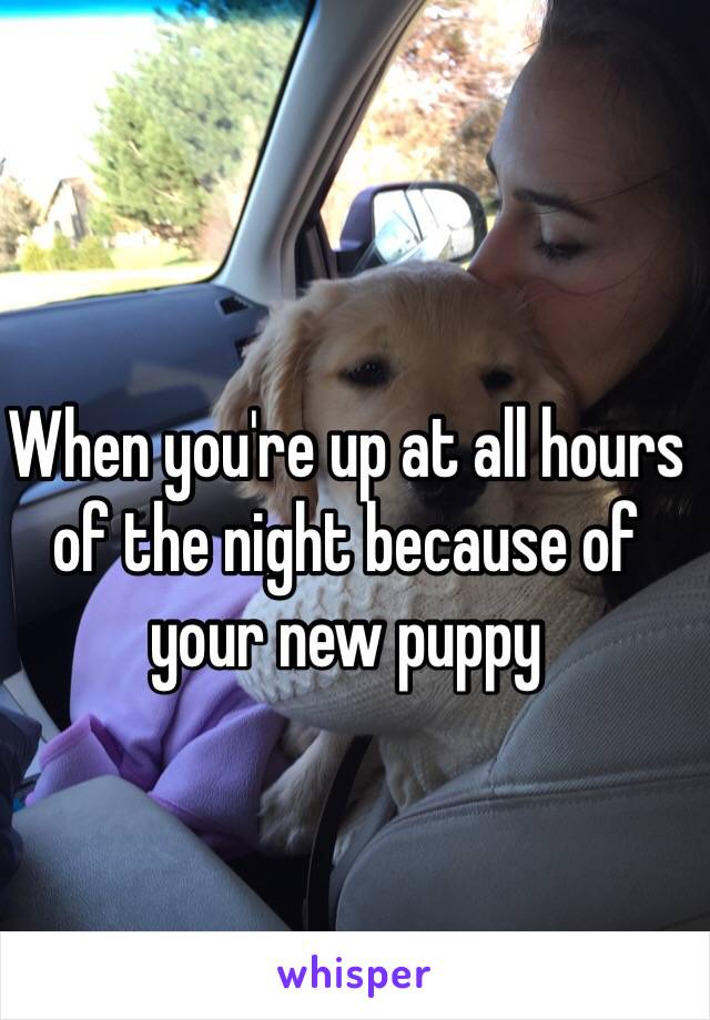 When you're up at all hours of the night because of your new puppy