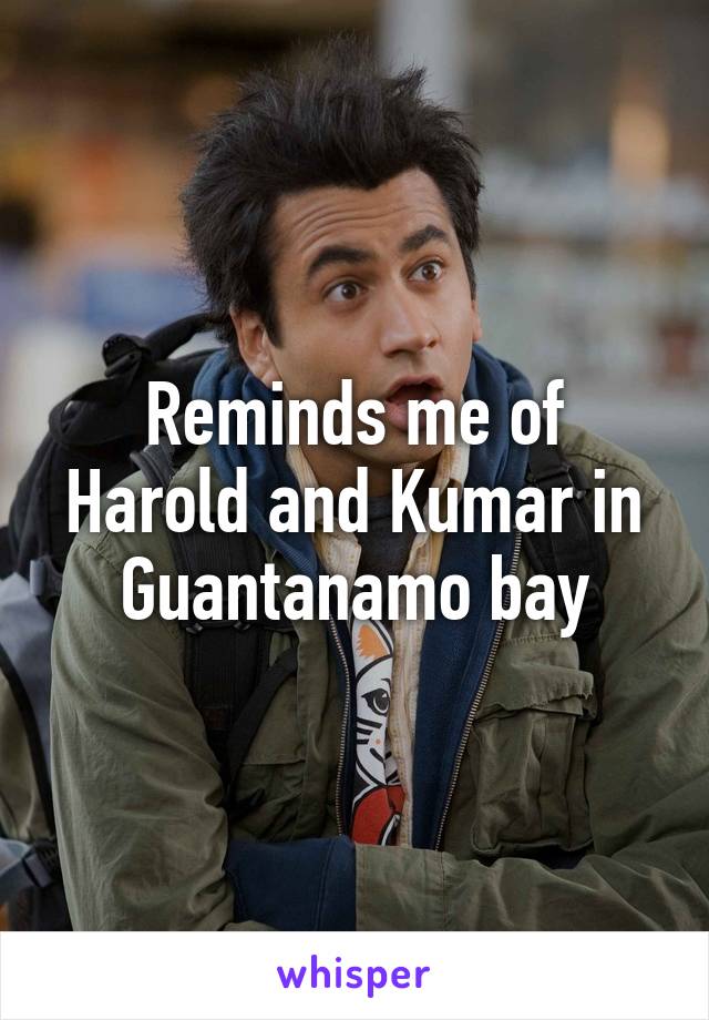 Reminds me of Harold and Kumar in Guantanamo bay