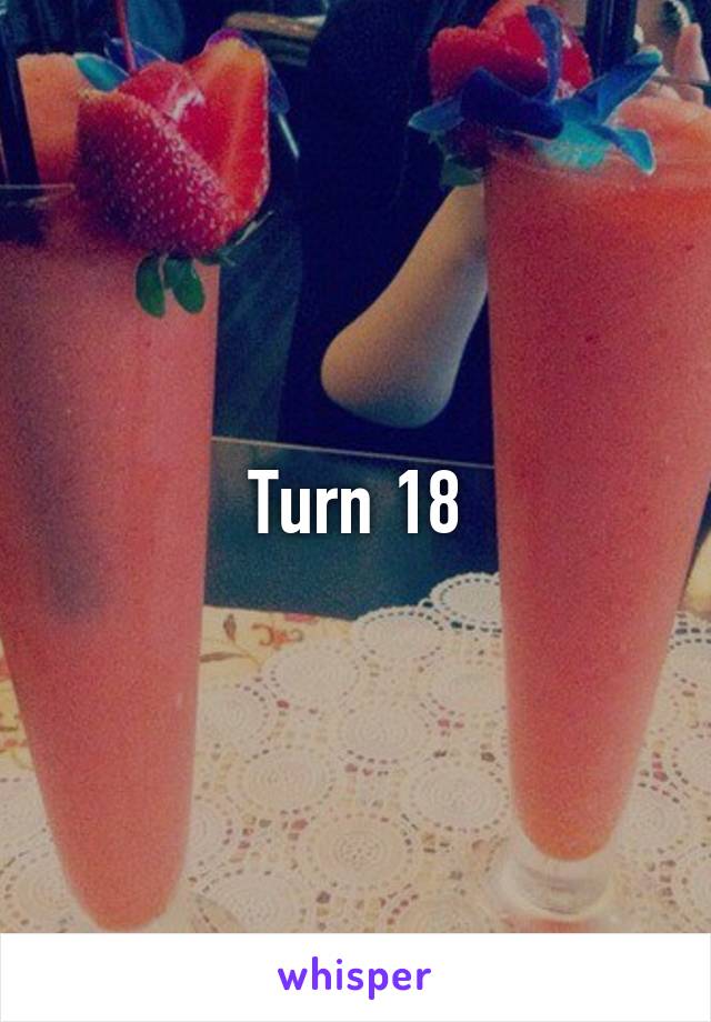 Turn 18