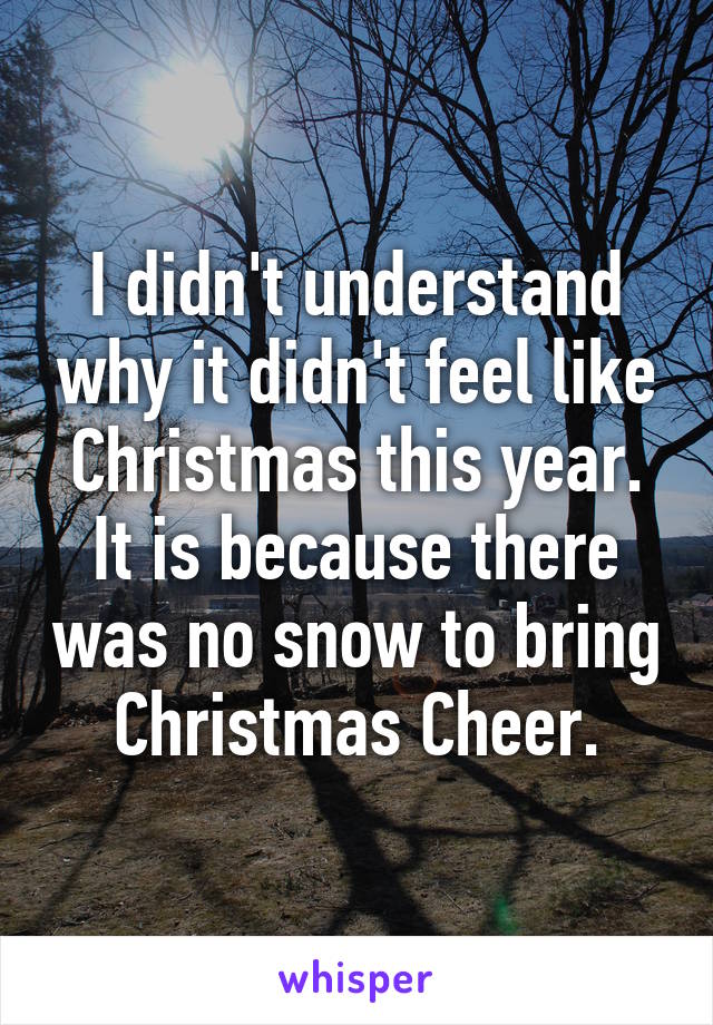 I didn't understand why it didn't feel like Christmas this year.
It is because there was no snow to bring Christmas Cheer.