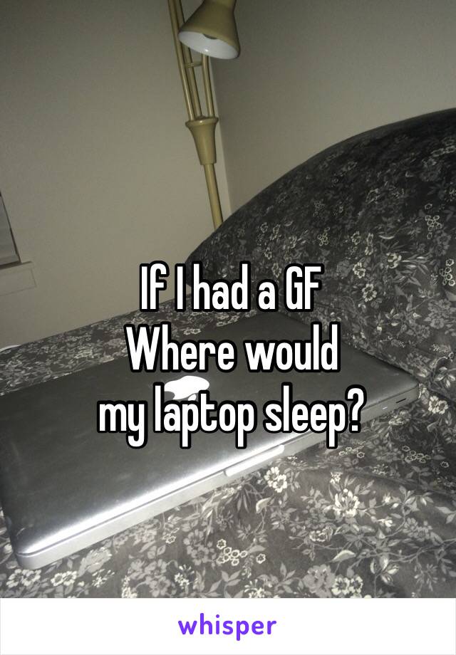 If I had a GF
Where would 
my laptop sleep?