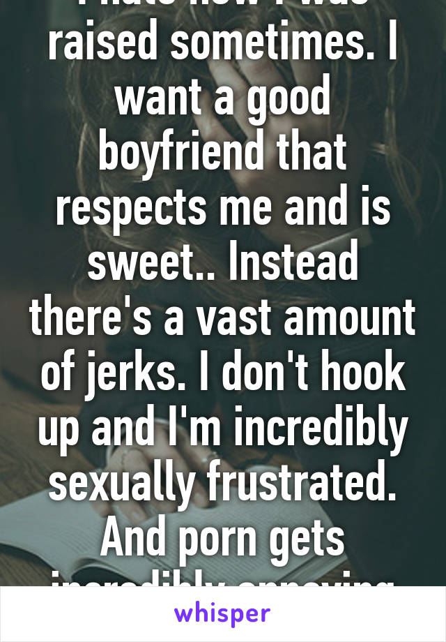 I hate how I was raised sometimes. I want a good boyfriend that respects me and is sweet.. Instead there's a vast amount of jerks. I don't hook up and I'm incredibly sexually frustrated. And porn gets incredibly annoying -__-" ugh