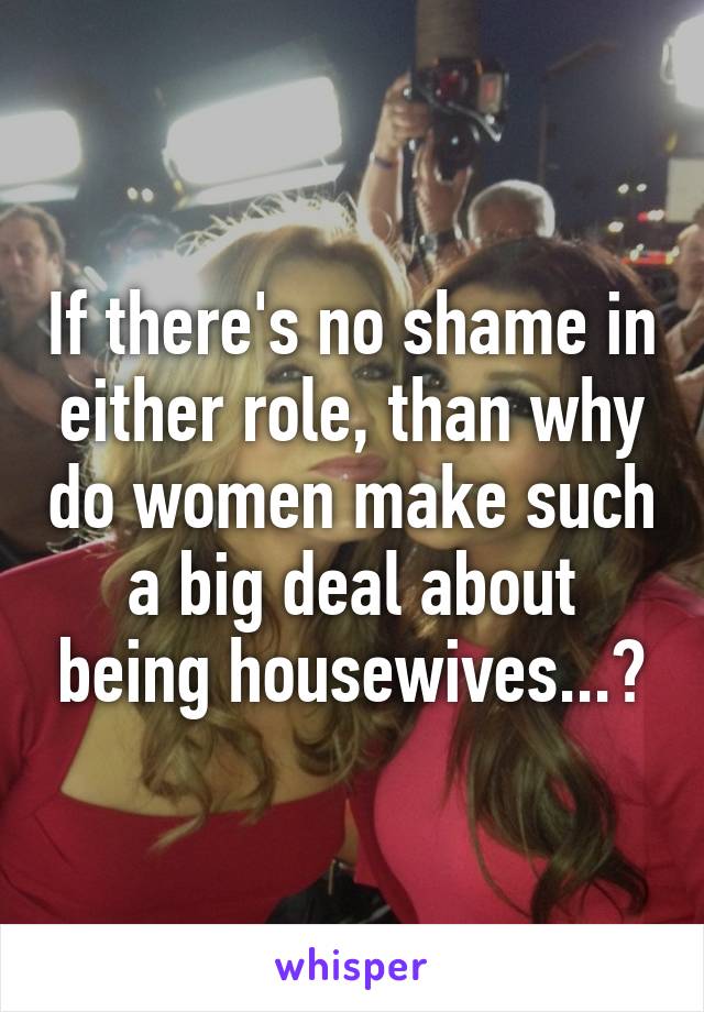If there's no shame in either role, than why do women make such a big deal about being housewives...?