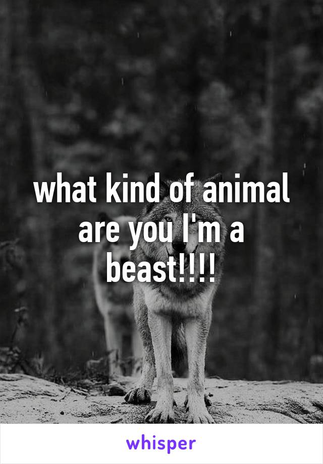 what kind of animal are you I'm a beast!!!!