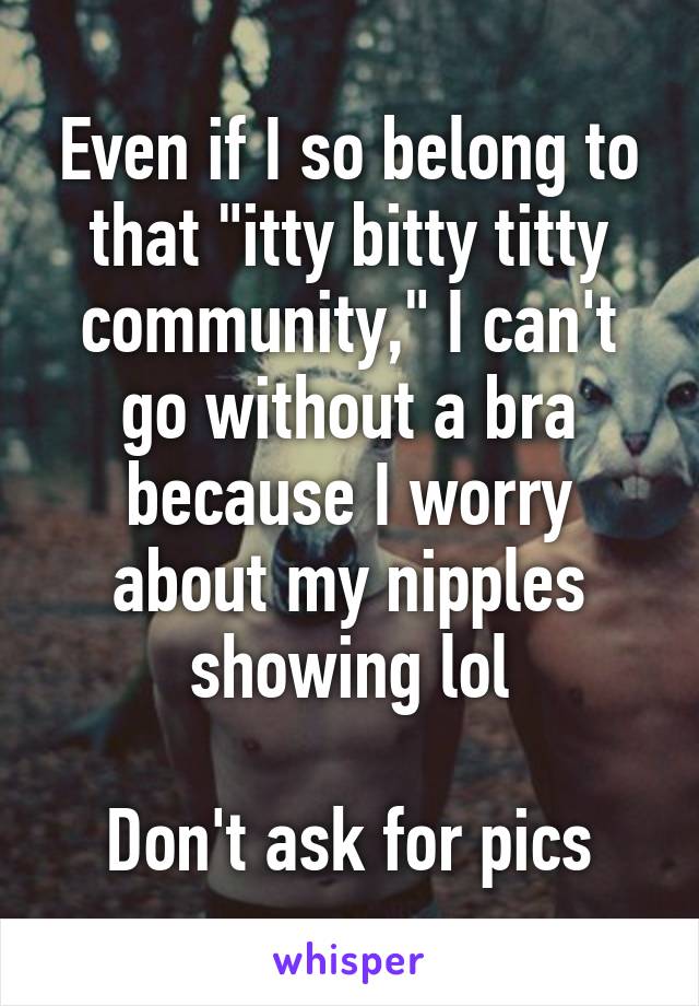 Even if I so belong to that "itty bitty titty community," I can't go without a bra because I worry about my nipples showing lol

Don't ask for pics