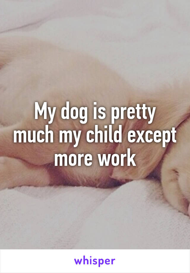 My dog is pretty much my child except more work