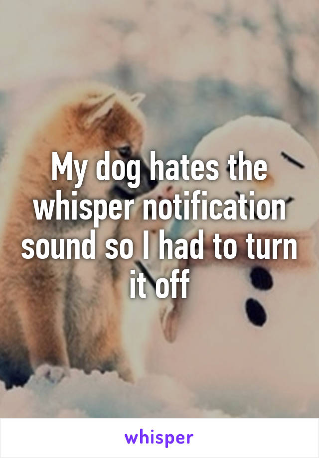 My dog hates the whisper notification sound so I had to turn it off