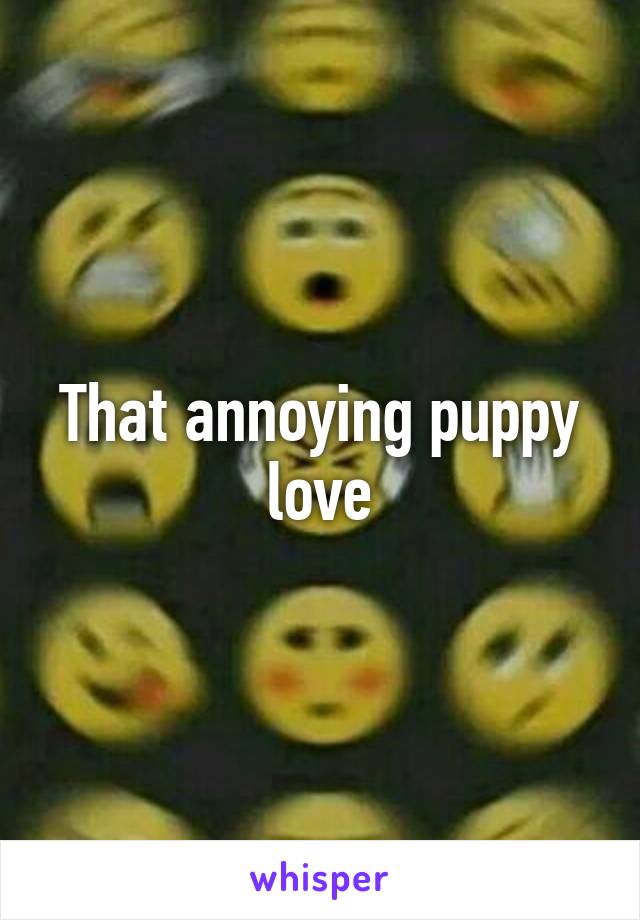 That annoying puppy love