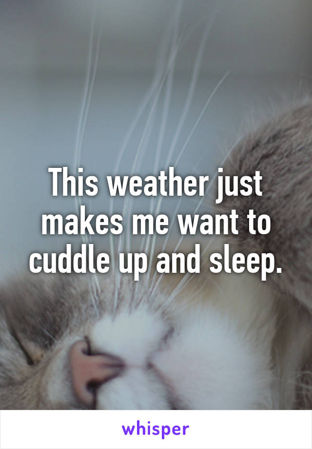 This weather just makes me want to cuddle up and sleep.