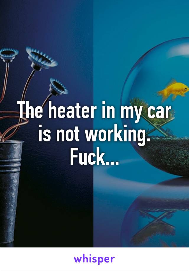 The heater in my car is not working. Fuck...