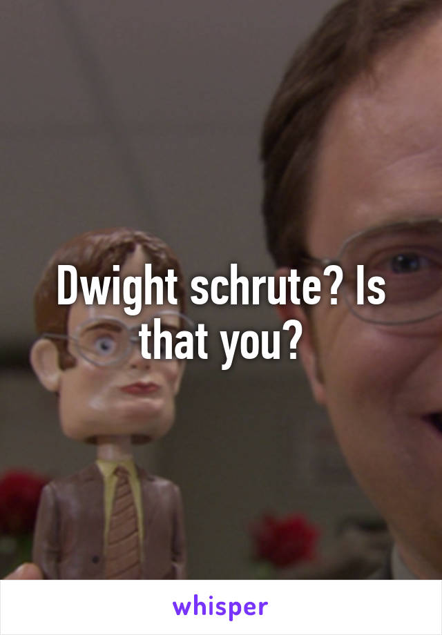 Dwight schrute? Is that you?