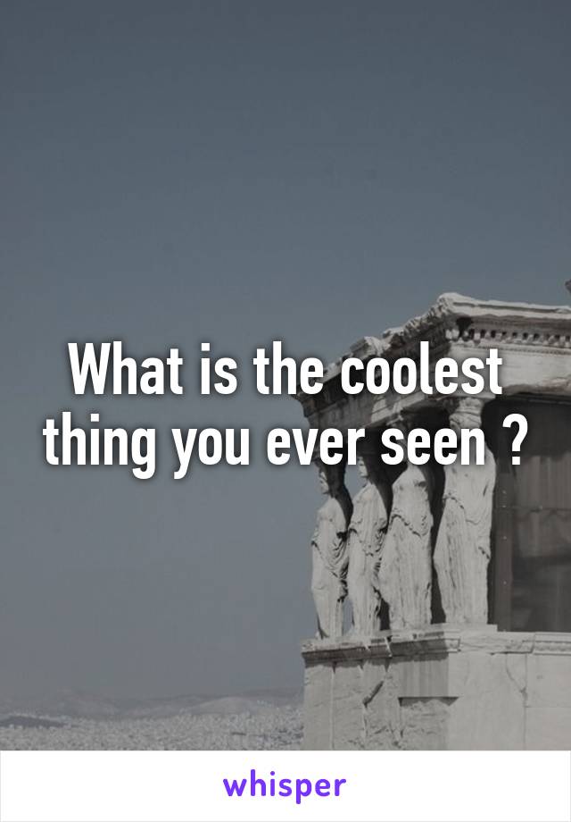 What is the coolest thing you ever seen ?