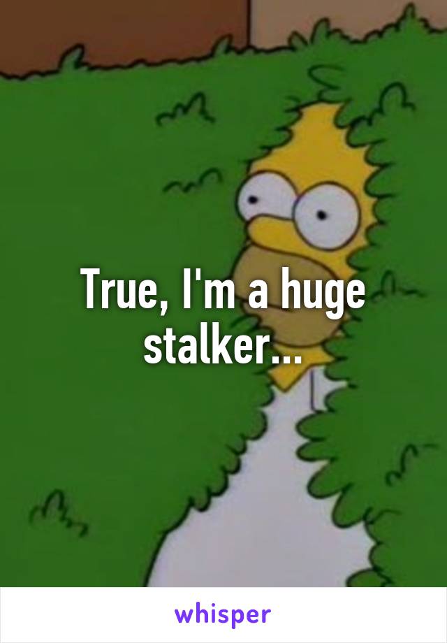 True, I'm a huge stalker...