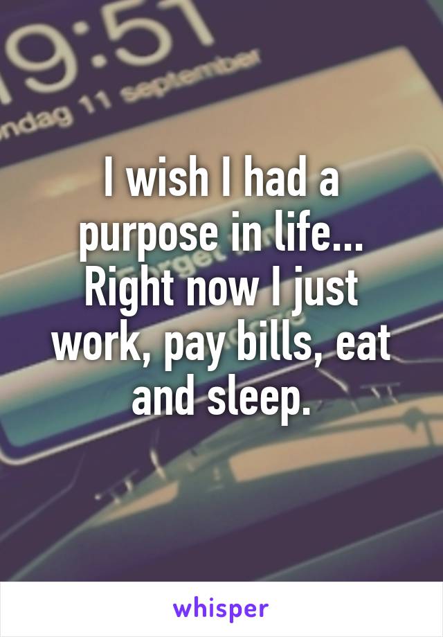 I wish I had a purpose in life... Right now I just work, pay bills, eat and sleep.
