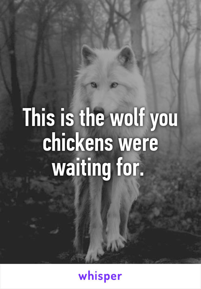 This is the wolf you chickens were waiting for. 