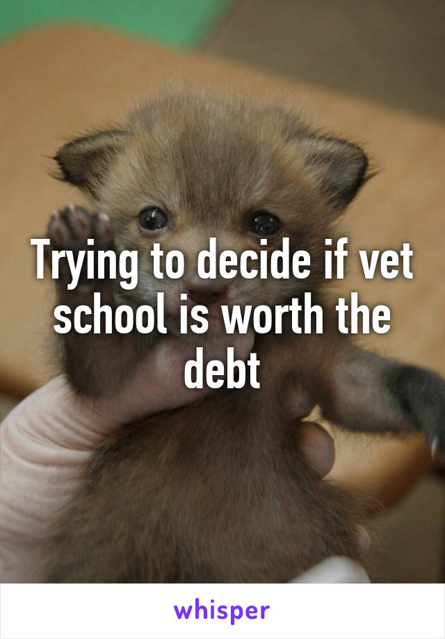 Trying to decide if vet school is worth the debt