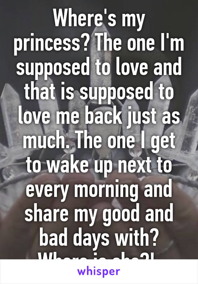 Where's my princess? The one I'm supposed to love and that is supposed to love me back just as much. The one I get to wake up next to every morning and share my good and bad days with?
Where is she?! 